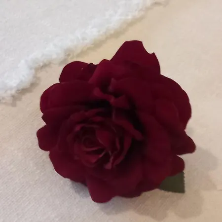 Alphaview * בראשוב